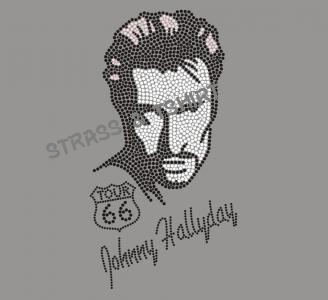 johnny hallyday