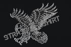 Aigle2 AN29