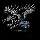 T-shirt aigle AN1