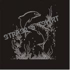 T-shirt  dauphin en strass AN16