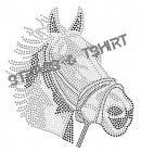 Super tête de cheval AN25